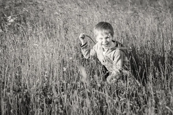 Junge auf dem Feld — Stockfoto