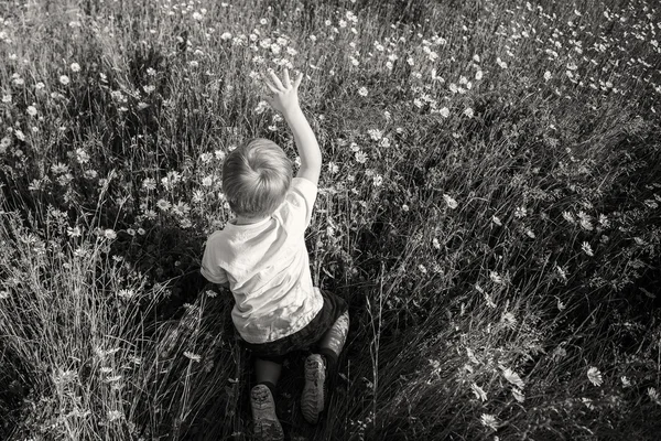 Jongen in veld — Stockfoto