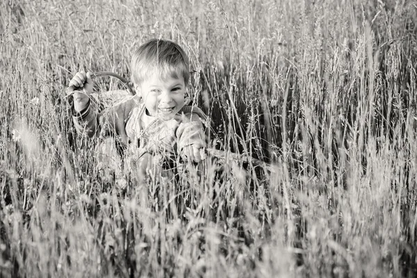 Boy in field — Stock Photo, Image