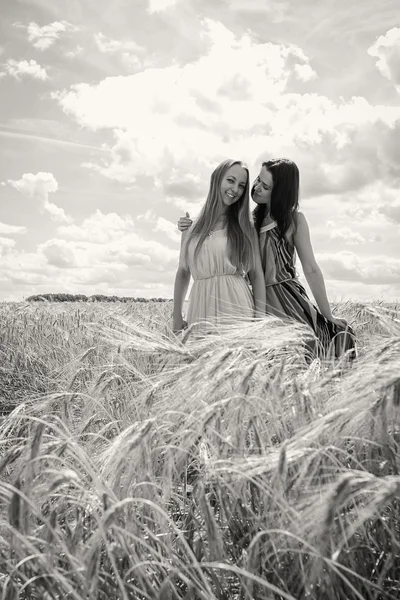 Dziewczyny w polu pszenicy — Zdjęcie stockowe