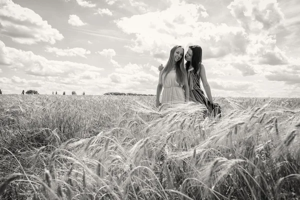 Meisjes staan in een tarweveld — Stockfoto