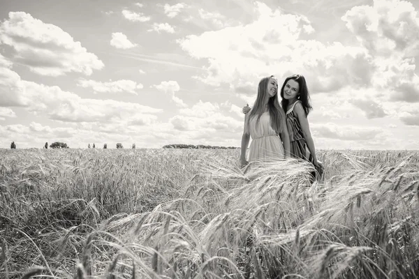 Дівчата стоять на пшеничному полі — стокове фото