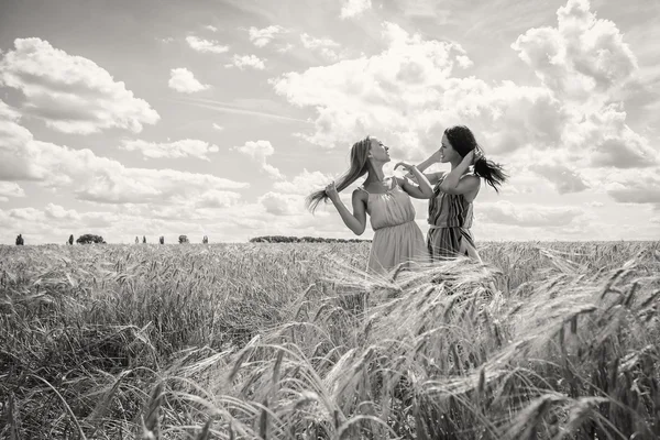 Girls standing in a wheat field — Stock Photo, Image