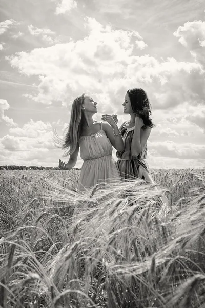 Meninas de pé em um campo de trigo — Fotografia de Stock