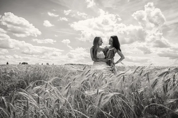 Chicas de pie en un campo de trigo — Foto de Stock