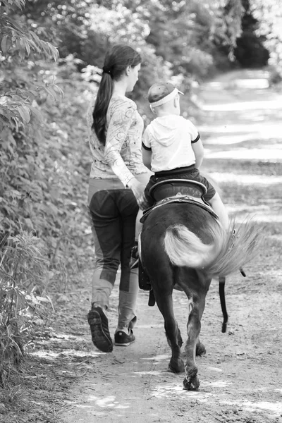 Little boy riding pony — Stock Photo, Image