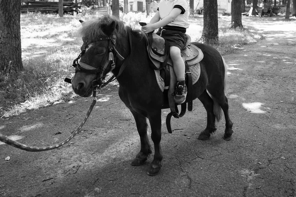 Garçon sur un cheval sur la nature — Photo