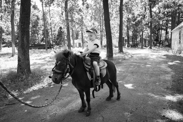Niño en un caballo en la naturaleza — Foto de Stock