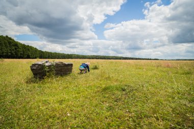 alanın ortasında küçük çocuk