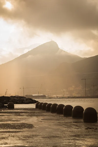 Evening landscape port.