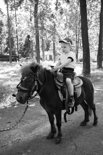 Μικρό αγόρι ιππασία πόνι — Φωτογραφία Αρχείου