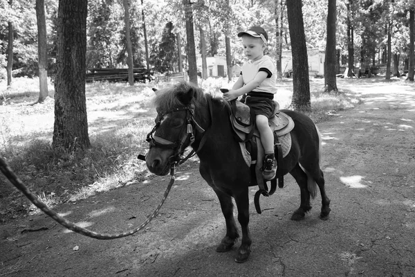 Kleine jongen rijden op een pony — Stockfoto