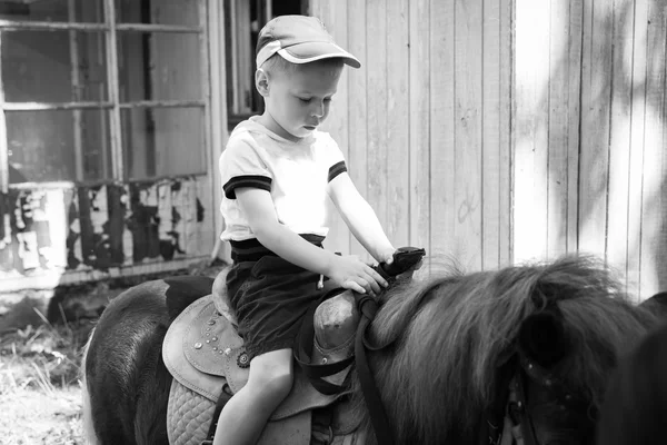 Маленький мальчик едет на пони — стоковое фото