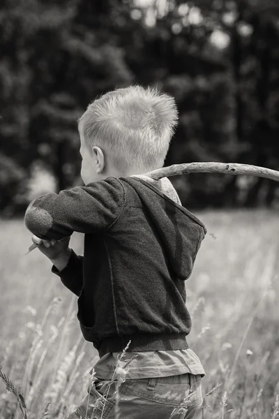 Boy in field — Stock Photo, Image