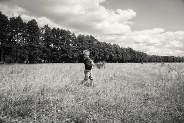 Jongen in veld — Stockfoto