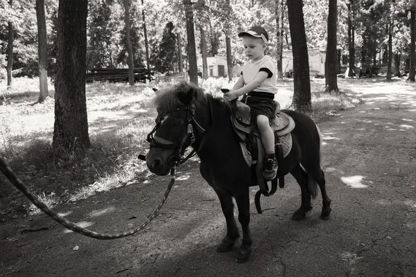 Pequeño niño montando en pony — Foto de Stock