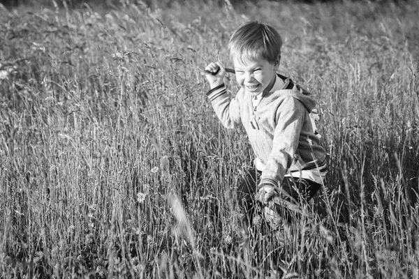 Niño en el campo —  Fotos de Stock
