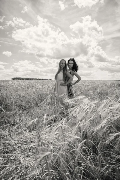 Дві молоді дівчата стоять на пшеничному полі . — стокове фото
