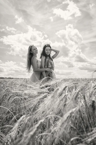 Twee jonge meisjes permanent in een tarweveld. — Stockfoto