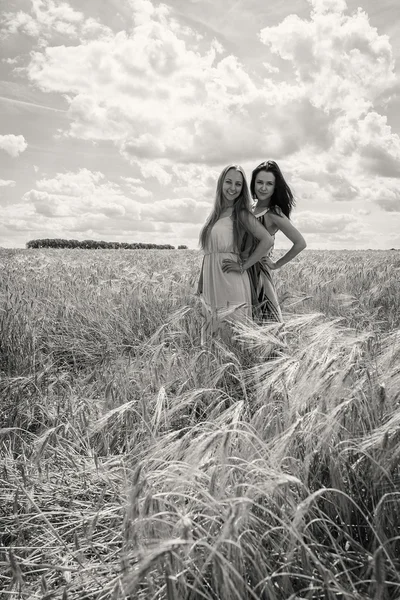 Two young girls standing in a wheat field. — Stock Photo, Image