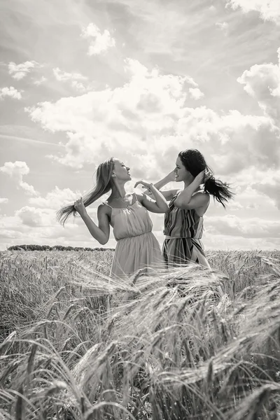 Zwei junge Mädchen stehen in einem Weizenfeld. — Stockfoto