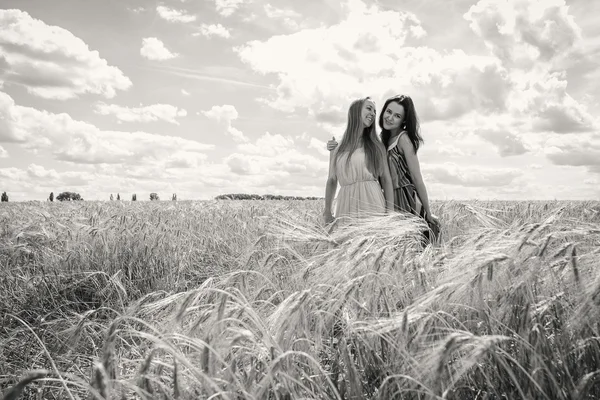 Dos niñas de pie en un campo de trigo . —  Fotos de Stock