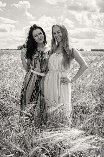 Twee jonge meisjes permanent in een tarweveld. — Stockfoto
