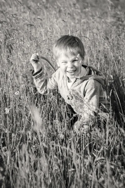 Junge auf dem Feld — Stockfoto