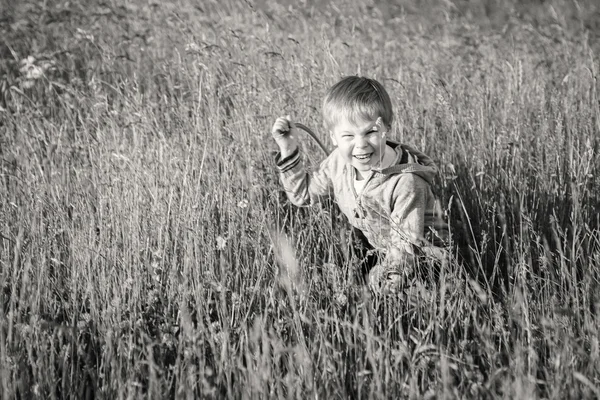 Jongen in veld — Stockfoto