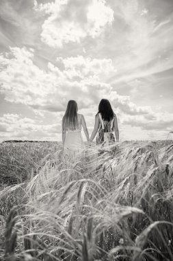 Kızlar bir buğday alanında daimi