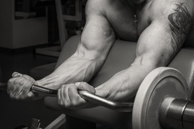 adam vasıl jimnastik salonu.