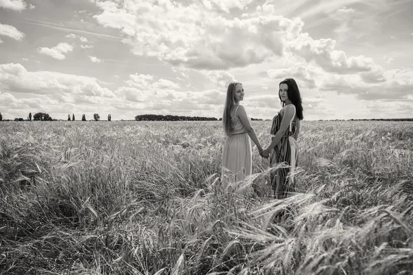 Flickor står i ett vete fält — Stockfoto