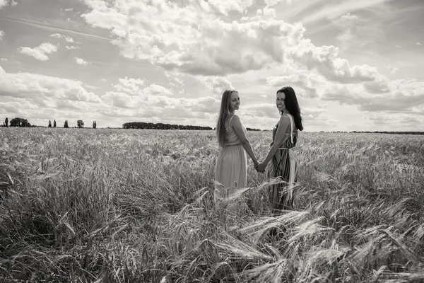 Девушки на пшеничном поле — стоковое фото