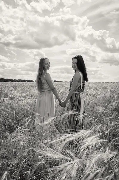 Filles debout dans un champ de blé — Photo