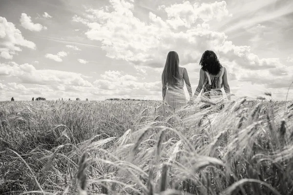 Meisjes staan in een tarweveld — Stockfoto