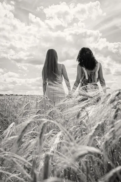 Meisjes staan in een tarweveld — Stockfoto