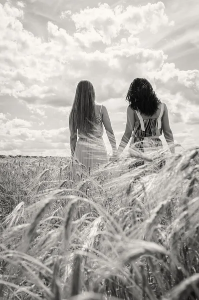 Girls standing in a wheat field — Stock Photo, Image