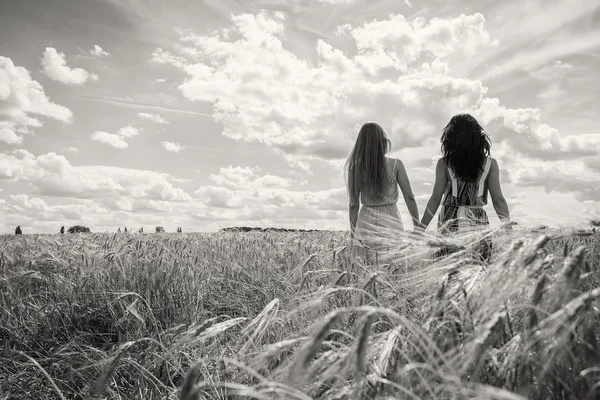 Chicas de pie en un campo de trigo — Foto de Stock