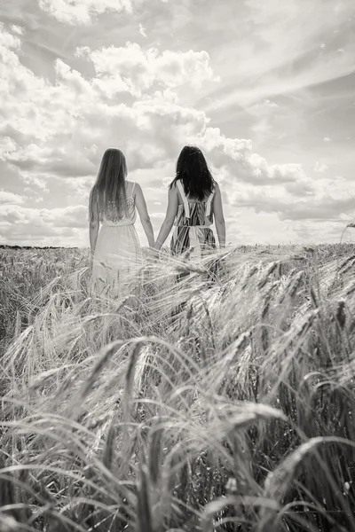 Flickor står i ett vete fält — Stockfoto