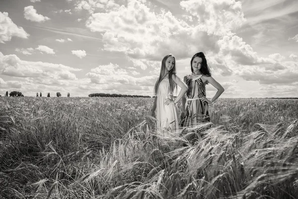 Chicas de pie en un campo de trigo — Foto de Stock