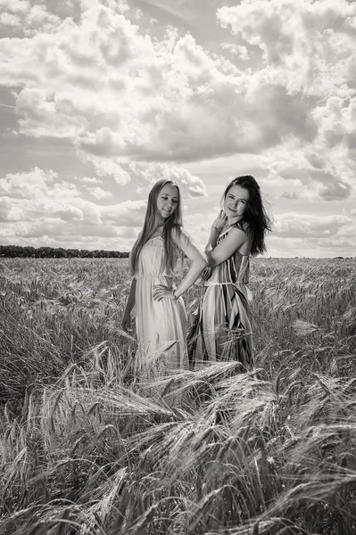 Meisjes staan in een tarweveld — Stockfoto