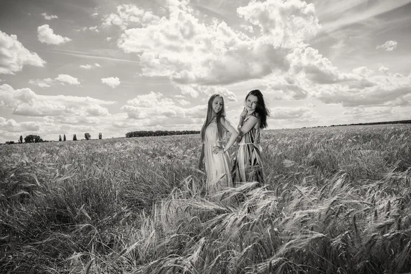 Meninas de pé em um campo de trigo — Fotografia de Stock