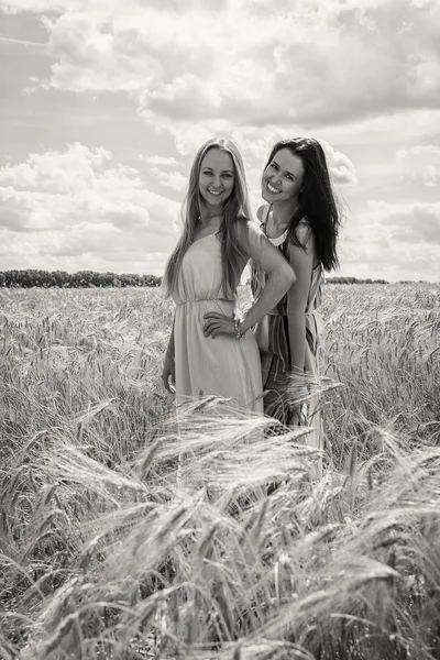 Chicas de pie en un campo de trigo —  Fotos de Stock