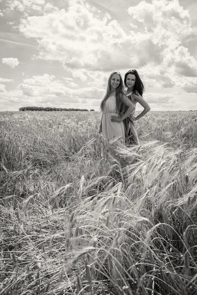 Chicas de pie en un campo de trigo — Foto de Stock