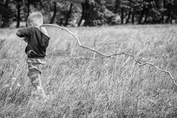 Kleine jongen in een veld — Stockfoto