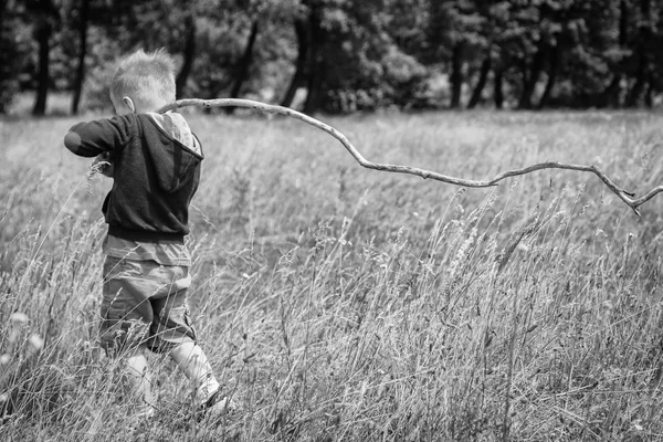 Little boy in a field — Stock Photo, Image