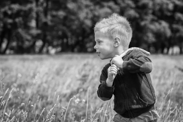 Malý chlapec na poli — Stock fotografie