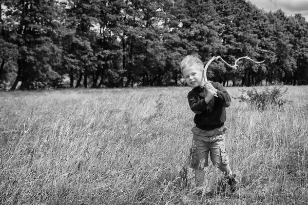 Little boy in a field — Stock Photo, Image