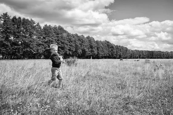 Kleine jongen in een veld — Stockfoto