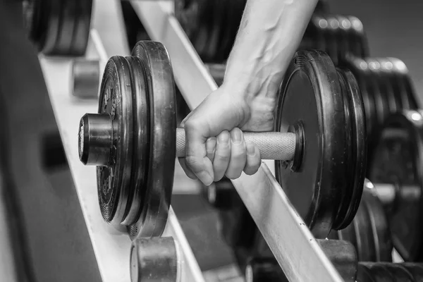 Hands holding dumbbell. — Stock Photo, Image